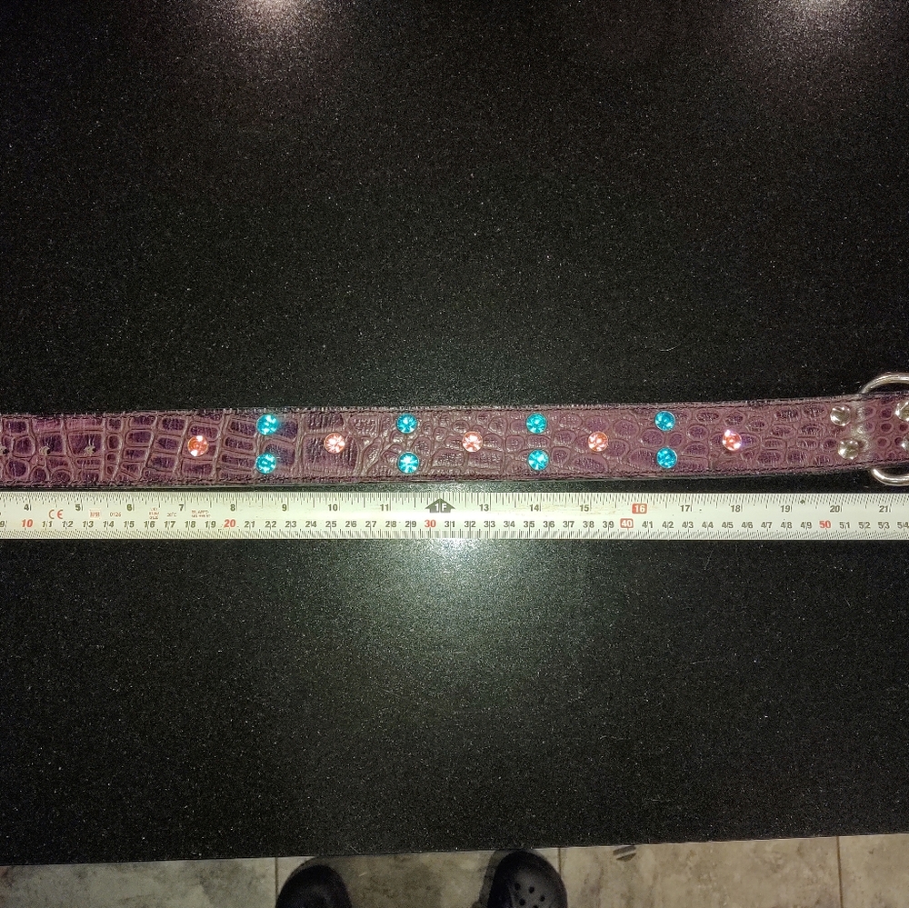 Custom made leather dog collar